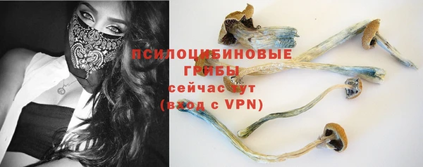 твердый Покачи