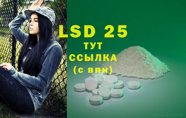 сатива Покров