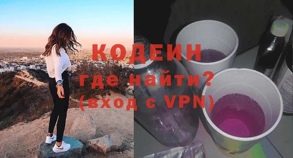 сатива Заводоуковск