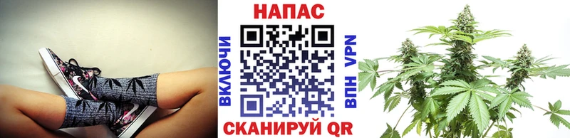 купить   кракен   Бошки Шишки ГИДРОПОН  Теберда 